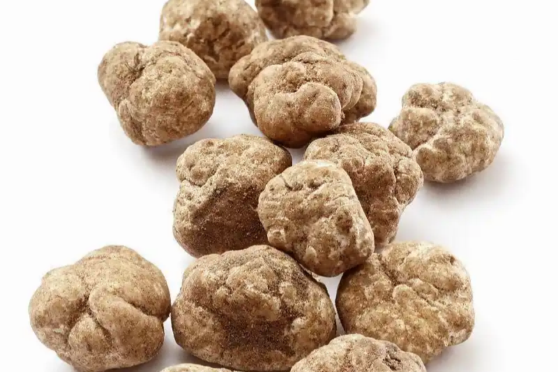 White Truffle